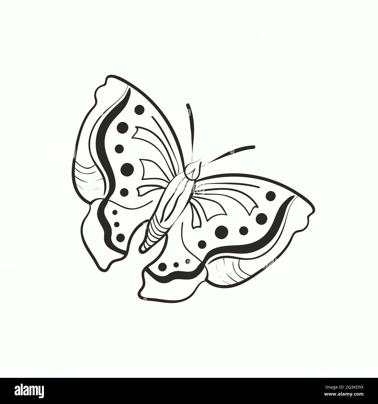 Illustration du papillon de caniche pour livre de coloriage photo stock 