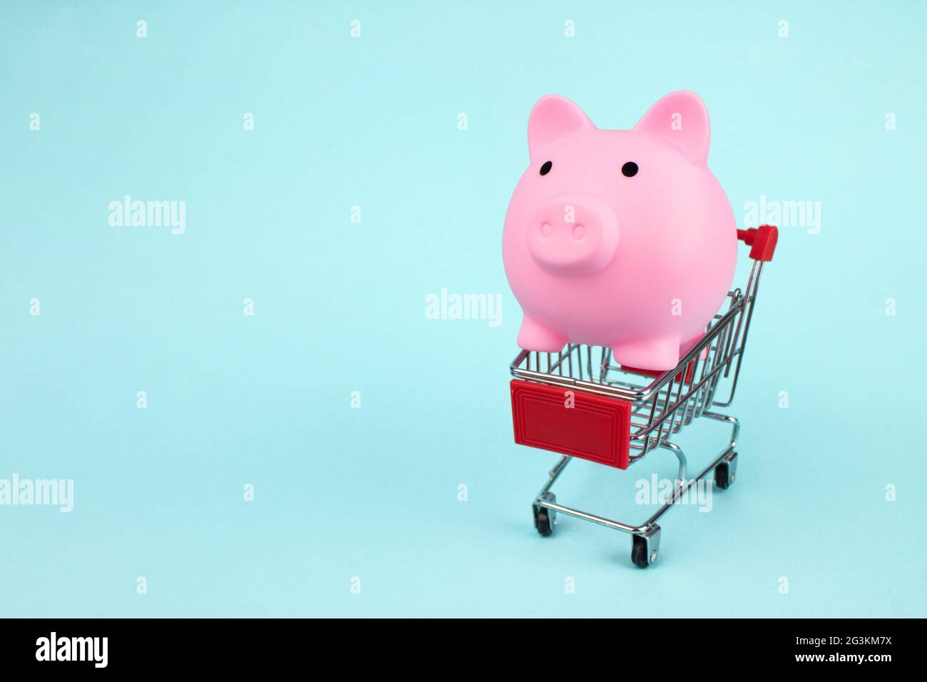 Concept d'achat d'entreprise en ligne. Porggy rose à l'intérieur d'un petit chariot de supermarché sur fond bleu avec espace de copie. Le concept d'économie d'argent sur les Banque D'Images