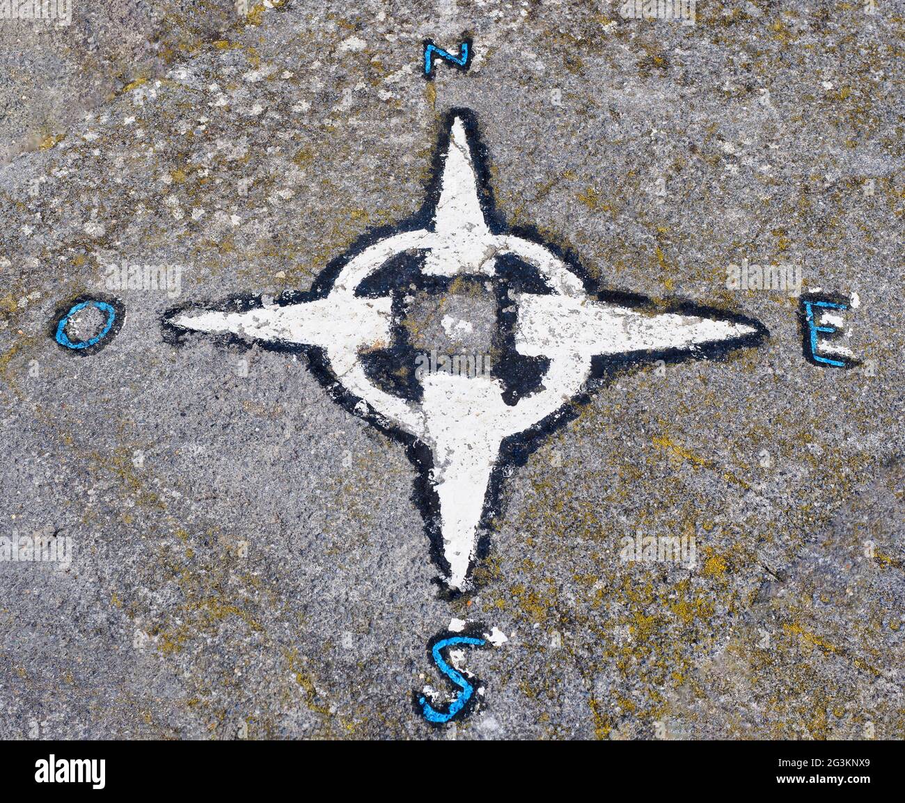 Peinture de rose éolienne Banque D'Images