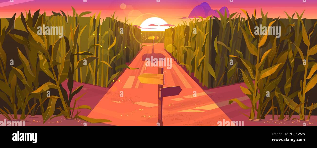 Paysage de coucher de soleil de cornfield avec des pointeurs de route en bois et des plantes vertes. Concept de choix de la voie avec des repères pointant sur la fourche de trajectoire. Labyrinthe, labyrinthe, choix de la direction, illustration vectorielle de dessin animé Illustration de Vecteur