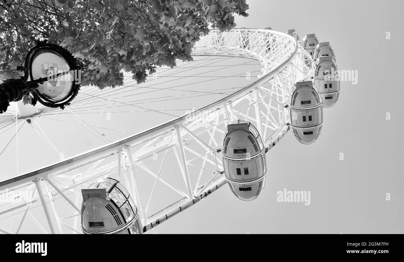Le London Eye ou la roue du millénaire - vue de l'aube Banque D'Images