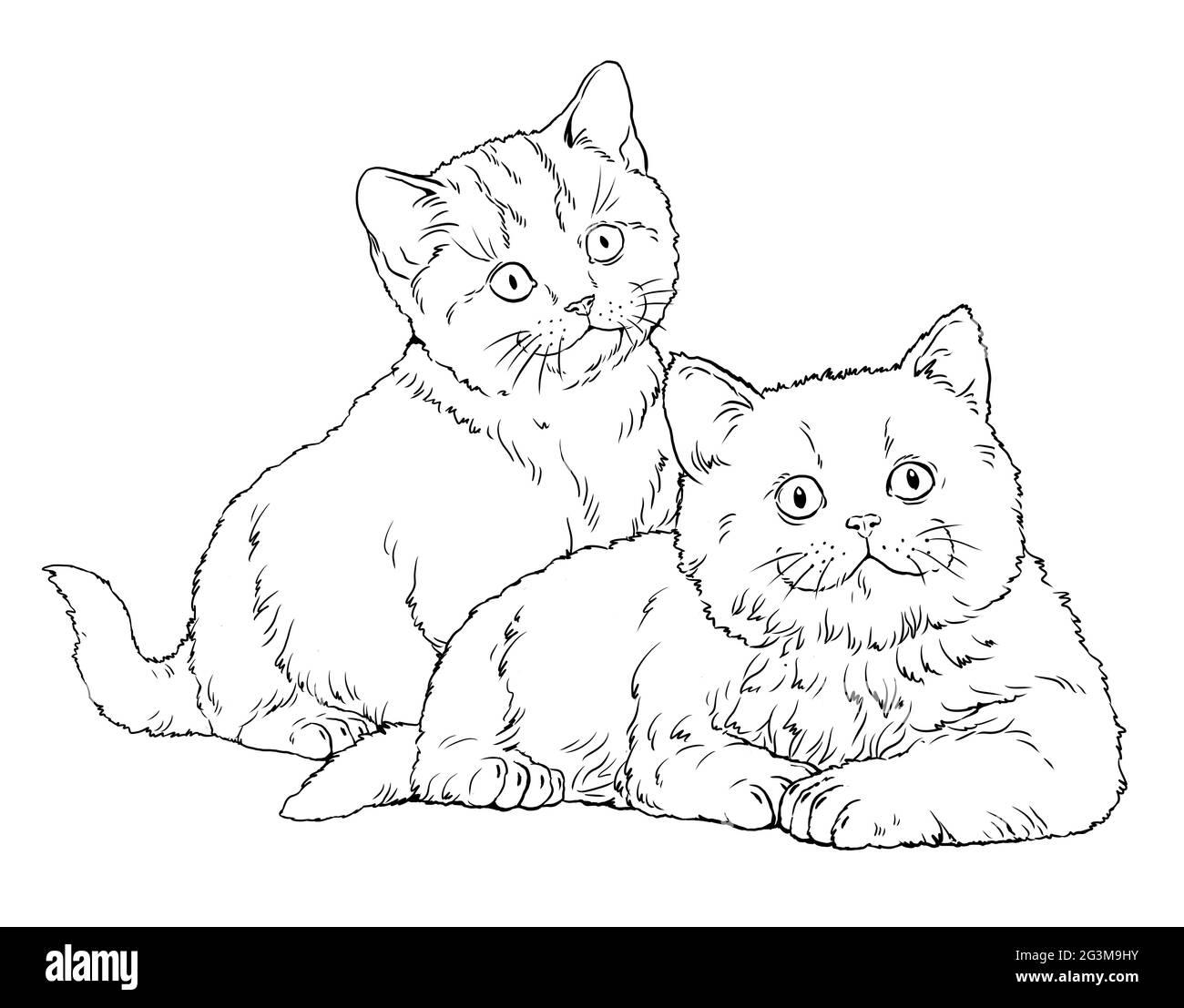 Chatons mignons à colorier. Modèle pour un livre de coloriage avec des petits chats. Banque D'Images