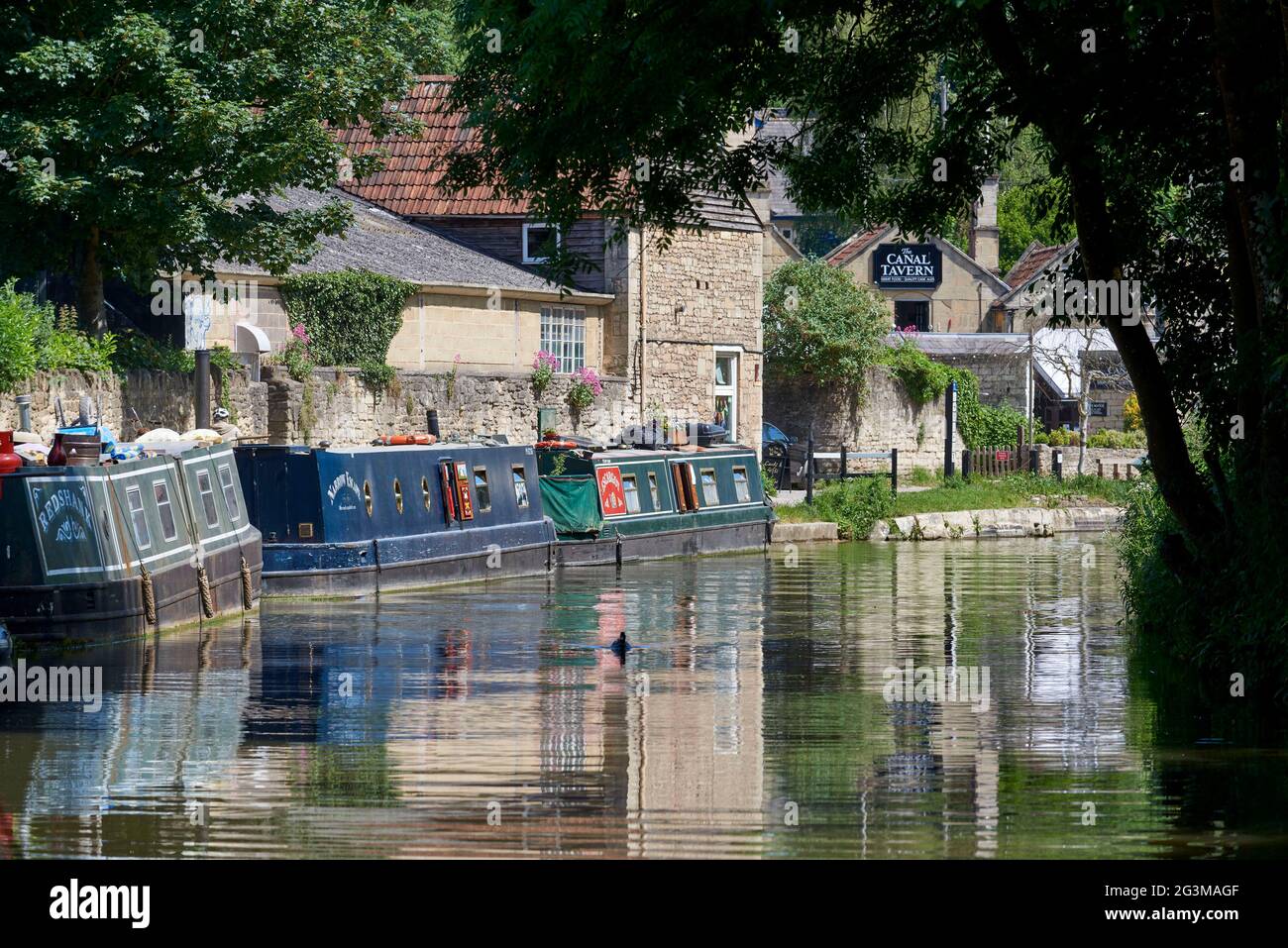 Des bateaux étroits amarrés sur le canal Kennet & Avon, à Bradford upon Avon, dans le sud-ouest de l'Angleterre, au Royaume-Uni Banque D'Images