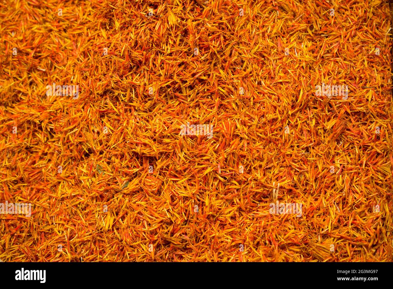 Plantes sèches pour remède en vue Banque D'Images