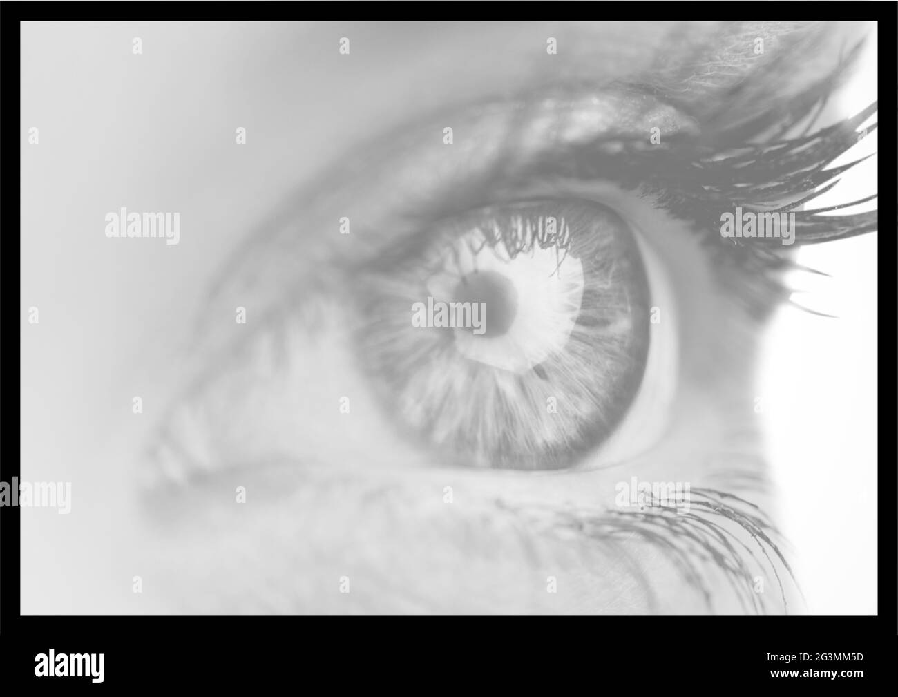 Composition de l'œil humain monochrome et des cils gros plan, avec cadre noir Banque D'Images