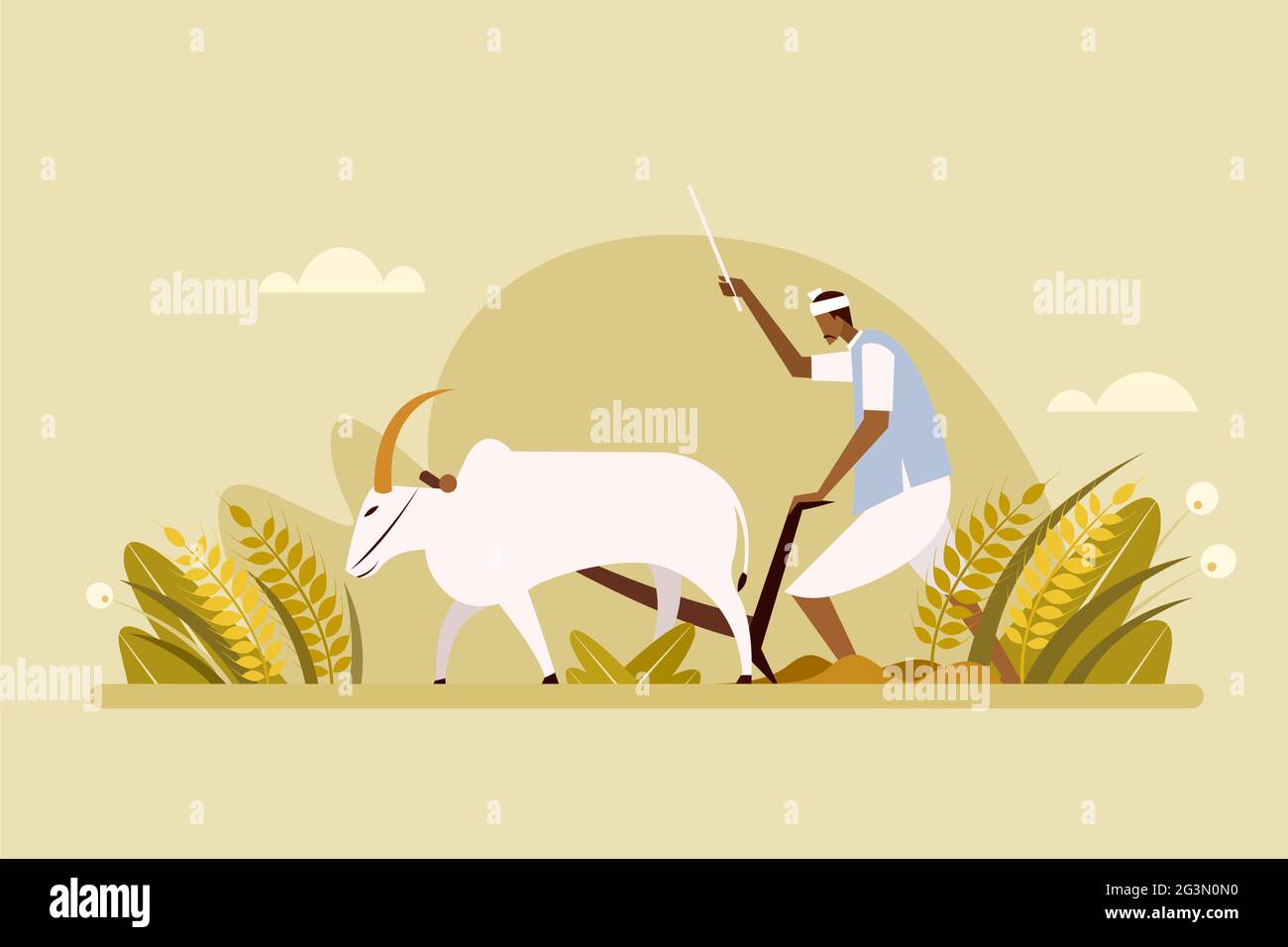 Les agriculteurs indiens cultivent le champ agricole à l'aide de taureaux Illustration de Vecteur