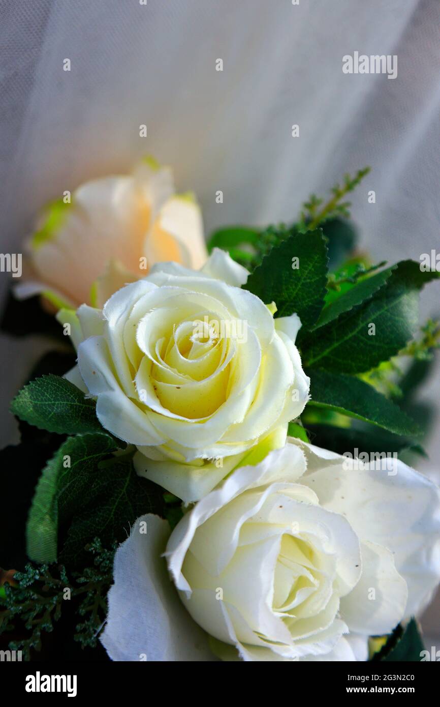 bouquet de roses blanches pour la cérémonie de mariage Banque D'Images