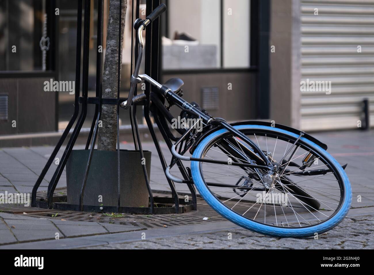 Vélo noir avec pneu bleu est à moitié sur le sol et à moitié contre un arbre dans une rue commerçante, garée sans prudence ou est tombé dessus. Vélo tombé Banque D'Images