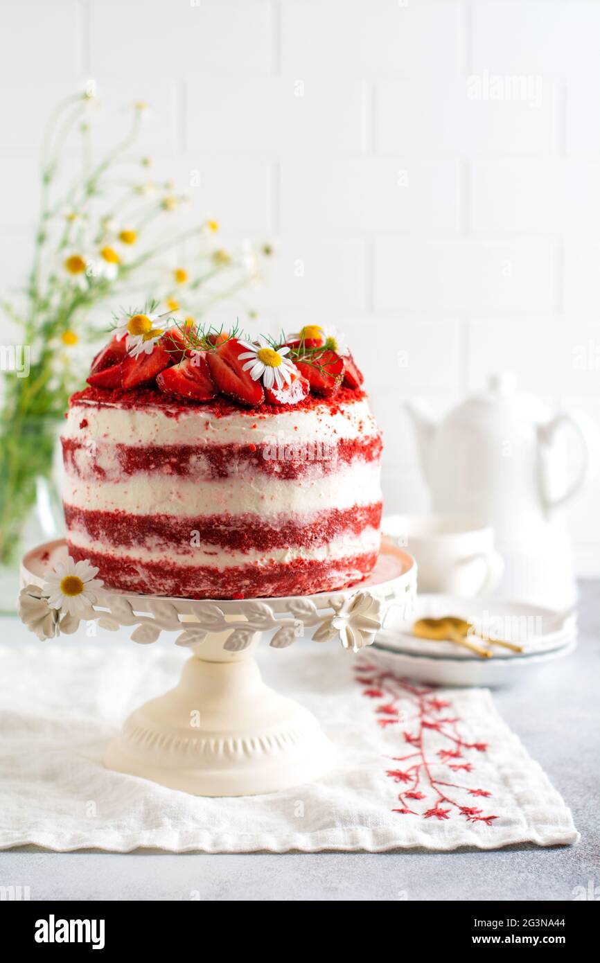 Gâteau de velours rouge avec fraise, crème fouettée et bouquet de pâquerettes sur tableau blanc sur fond gris. Saint-Valentin, dessert de mariage ou anniversaire p Banque D'Images