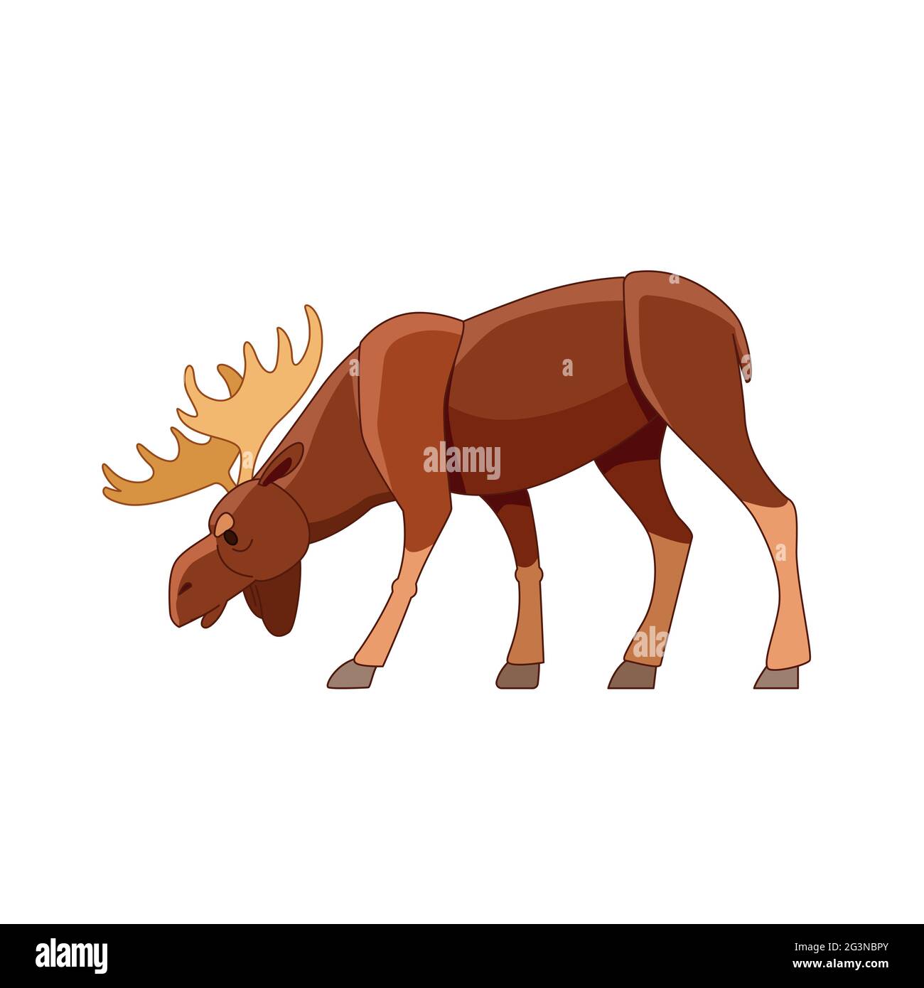 L'orignal de taureau paître dans la forêt sauvage. Scène sauvage avec élan. Illustration plate vectorielle de personnage de dessin animé isolée sur fond blanc Illustration de Vecteur