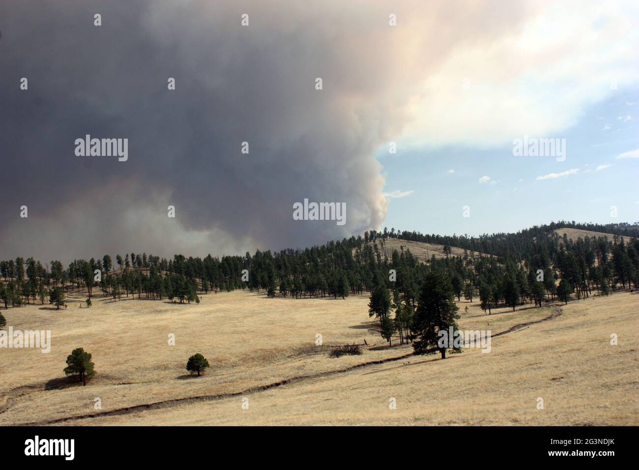 Preuve d'un vieux feu de forêt dans le Gila NF avec la fumée de la fumée de feu Johnson actuel en arrière-plan Banque D'Images