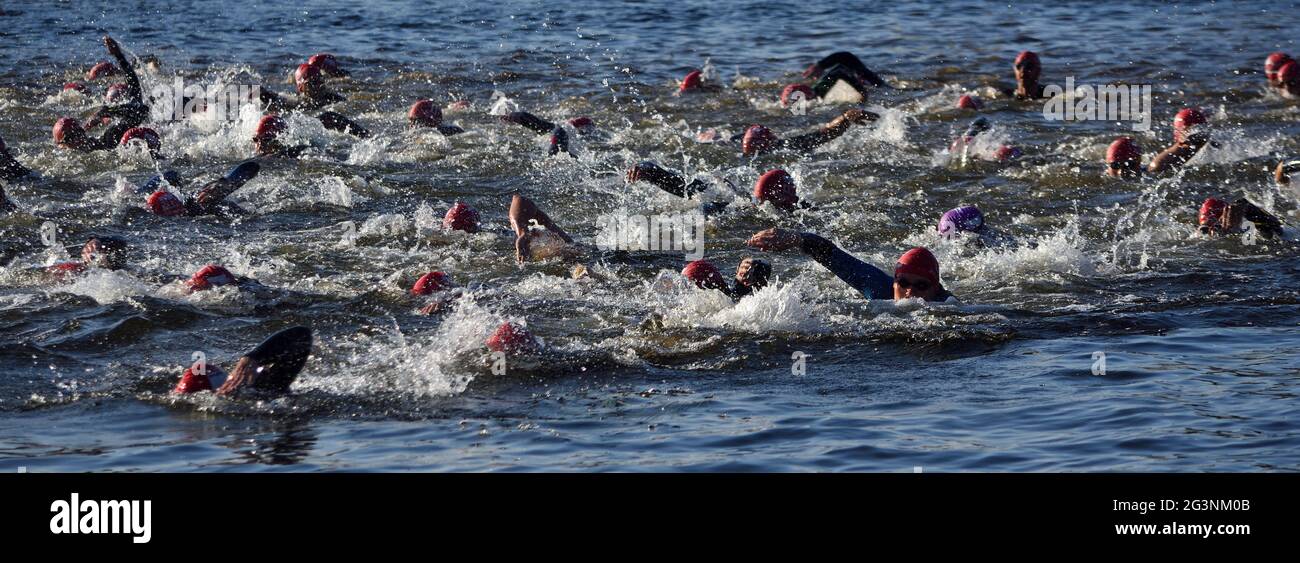 Les nageurs de triathlon se disputes sur la rivière Ouse à St Neots. Banque D'Images