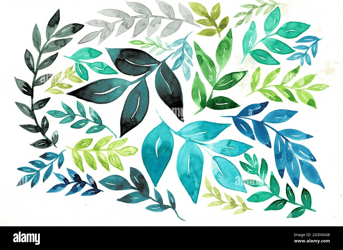 Aquarelle peinture montrant différents types et couleurs de feuilles - Foliage luxuriant - Vibes botaniques Banque D'Images Aquarelle peinture montrant différents types et couleurs de feuilles - Foliage luxuriant - Vibes botaniques Banque D'Images