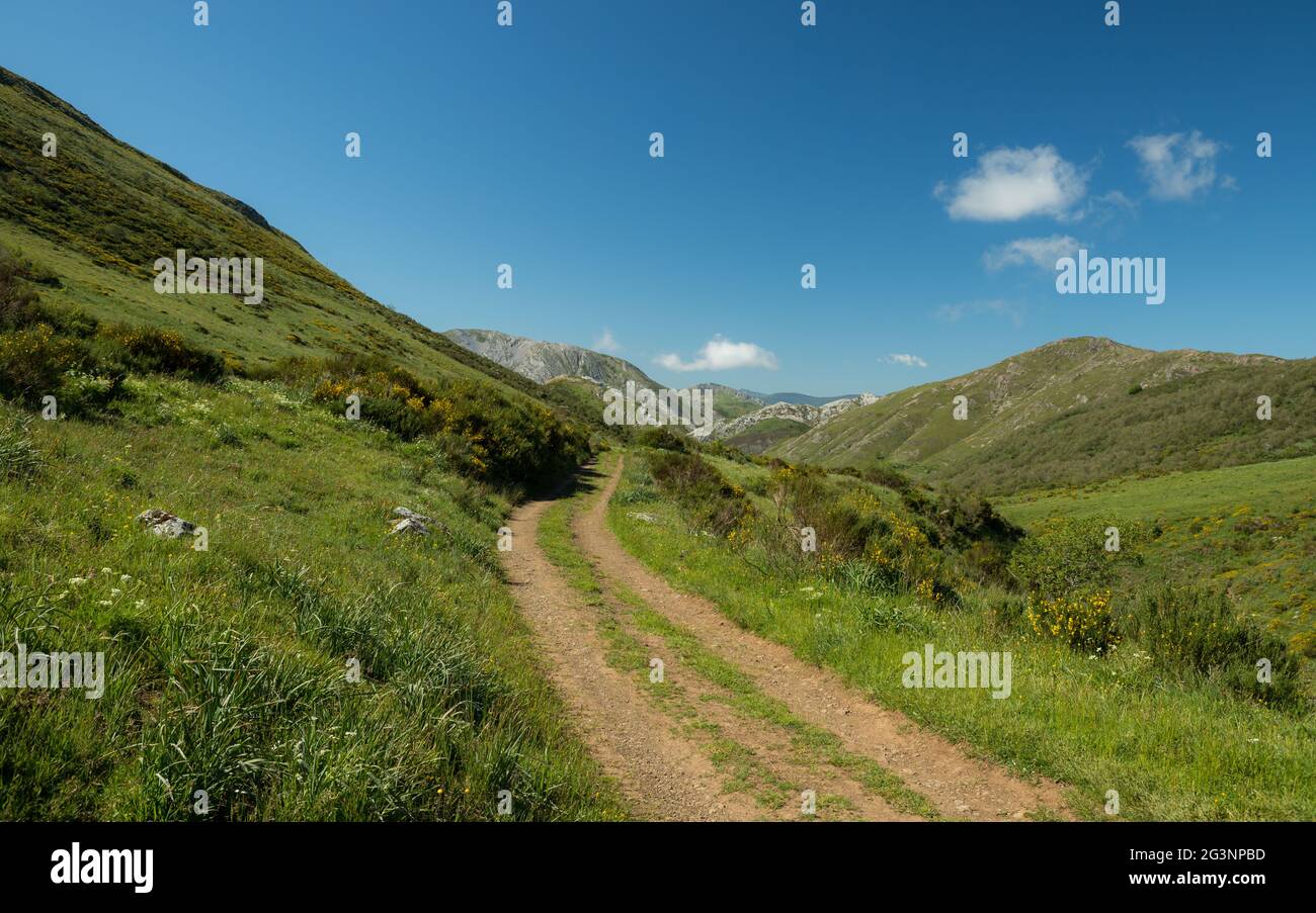 Sentier de montagne et paysage vert du parc naturel de Somiedo au printemps. Banque D'Images