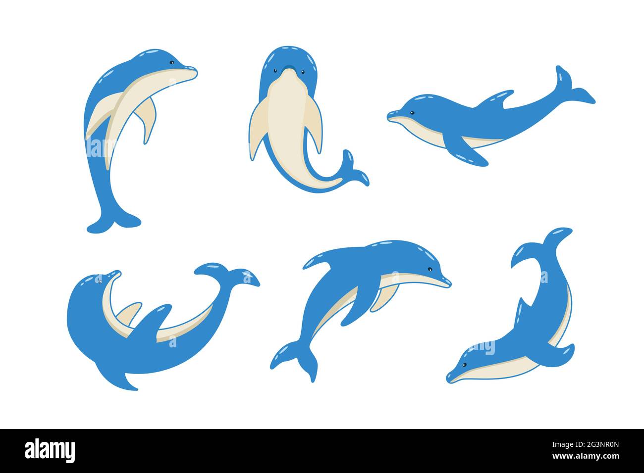 Ensemble de dauphins de dessins animés dans différentes poses, illustration vectorielle des animaux marins. Les dauphins peints nagent Banque D'Images Ensemble de dauphins de dessins animés dans différentes poses, illustration vectorielle des animaux marins. Les dauphins peints nagent Banque D'Images