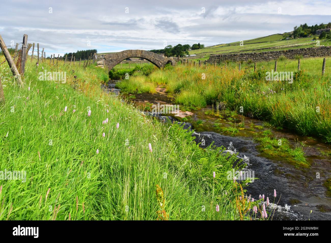 Pont Strines, pont Jack, Colden Water, Pennines, West Yorkshire Banque D'Images