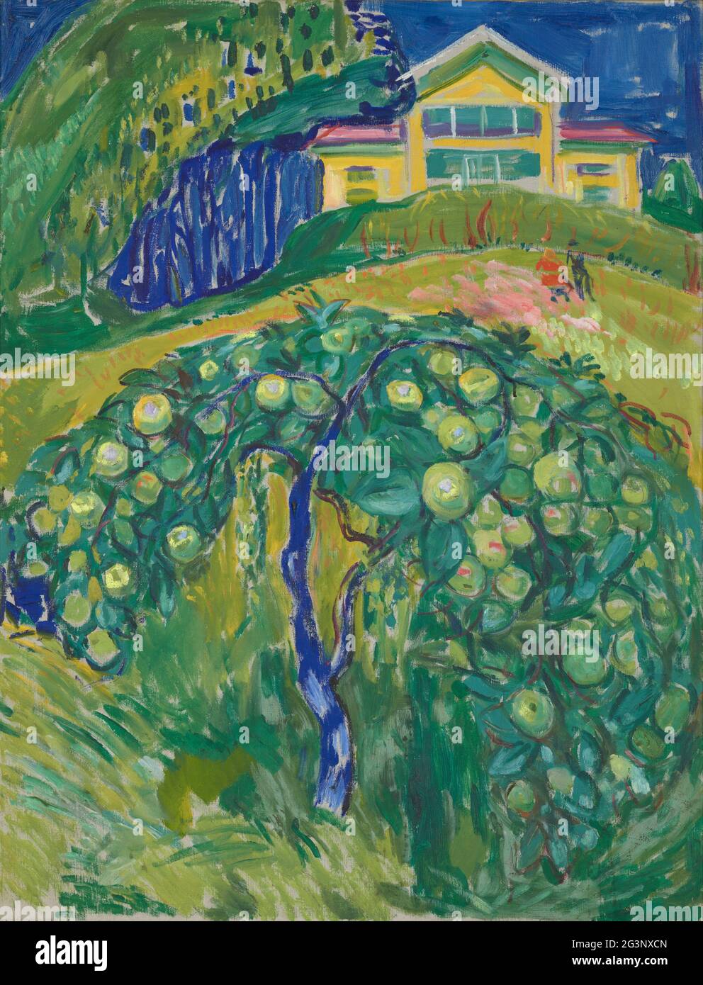 Titre: Apple Tree dans le jardin Créateur: Edvard Munch Date: 1932-42 Moyen: Huile sur toile Dimensions: 100.5 x 77.5 cm emplacement: Oslo, Munch-Museet Banque D'Images