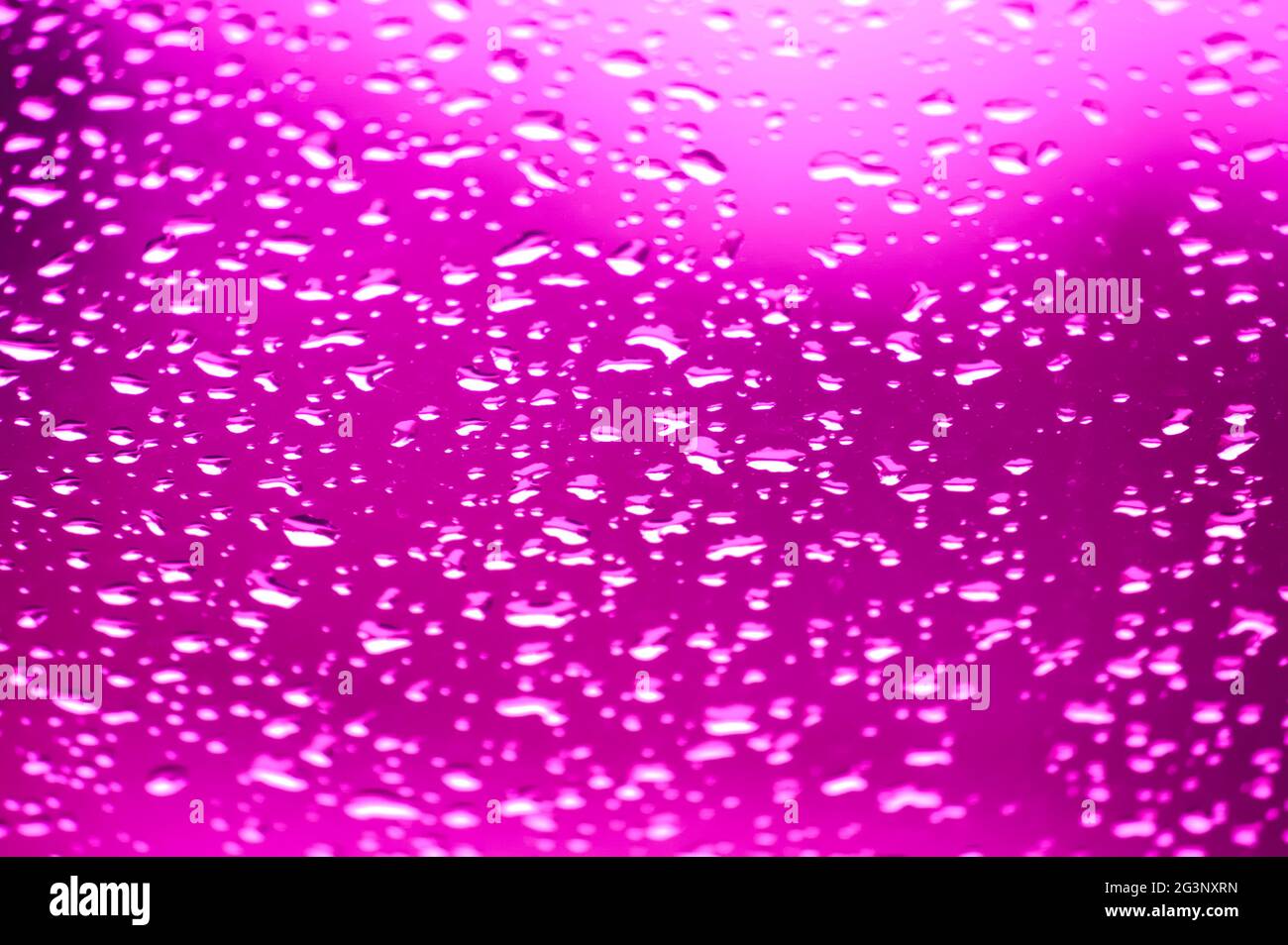 Verre de fenêtre rempli de gouttelettes d'une couleur violet foncé sur toute l'image Banque D'Images