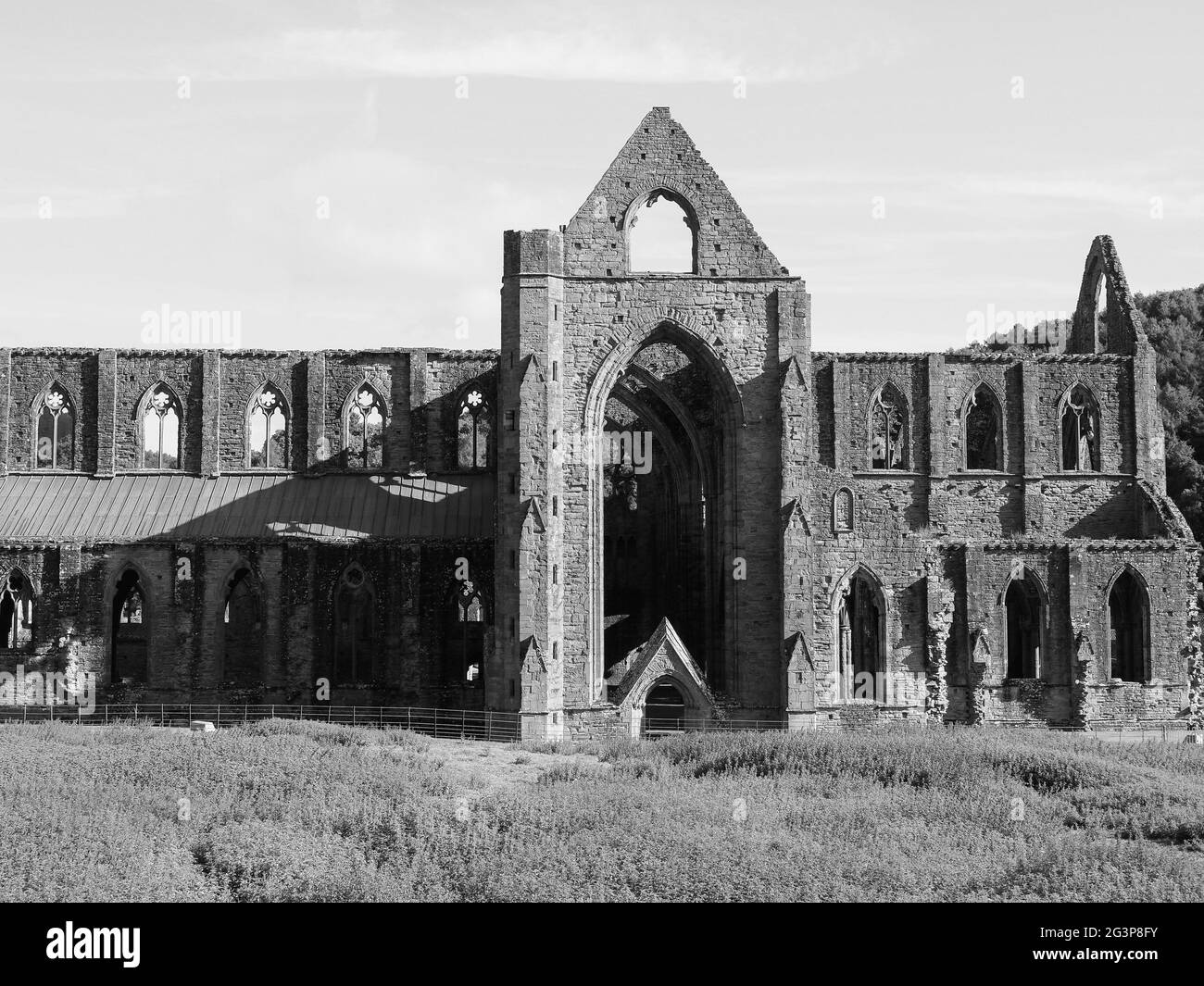 Abbaye de Tintern (Abaty Tyndyrn) à Tintern, noir et blanc Banque D'Images