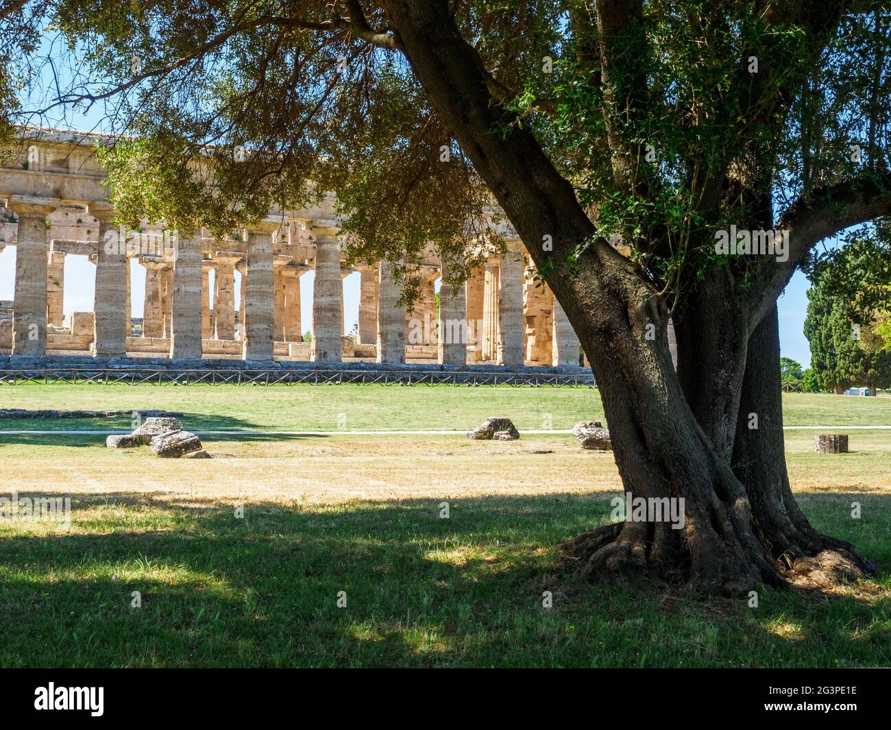 Le temple grec de style dorique de Neptune - zone archéologique de ​​Paestum - Salerne, Italie Banque D'Images