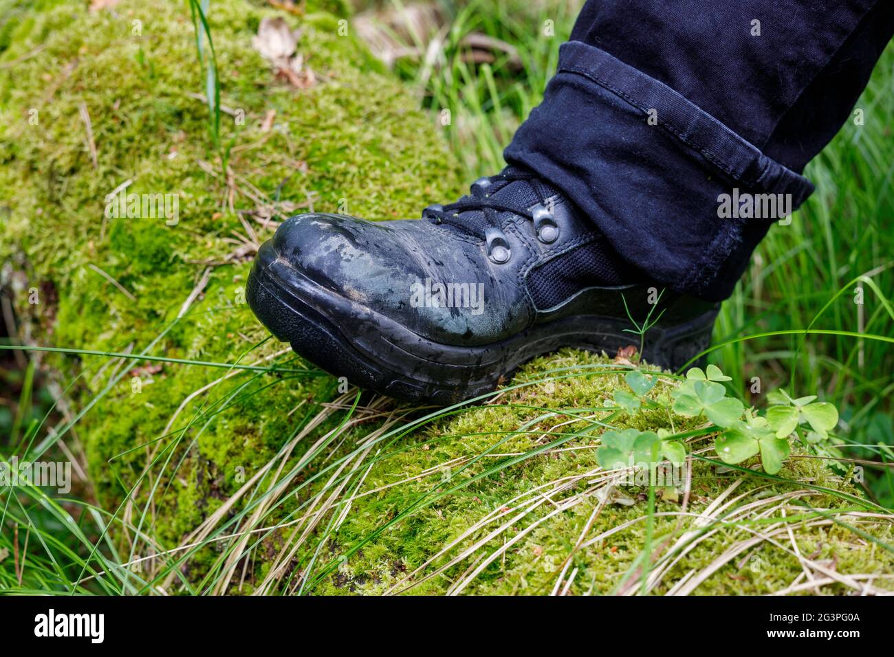Jambe dans une chaussure de trekking sur un arbre en mousse tombé, concept Active Rest Banque D'Images