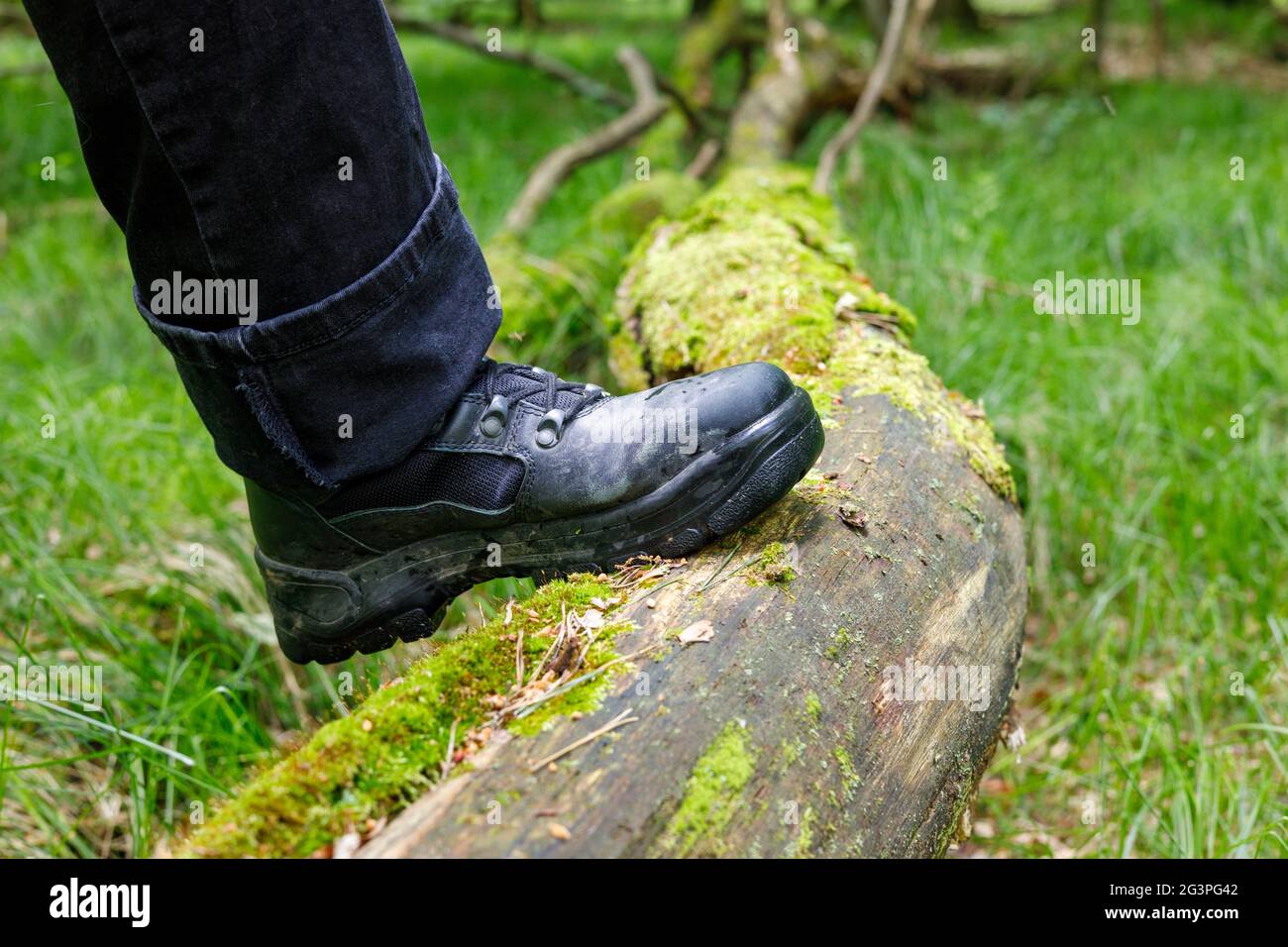 Jambe dans une chaussure de trekking sur un arbre en mousse tombé, concept Active Rest Banque D'Images