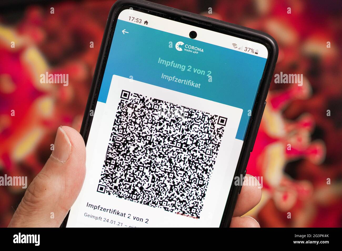 QR-Code, das digitale Impfzertifikat in der Corona warn-App auf einem smartphone bestätigt eine abgeschlossenen Impfung gegen Covid-19. - ACHTUNG! QR-Code und persönliche Angaben sind unkenntlich gemacht! Banque D'Images