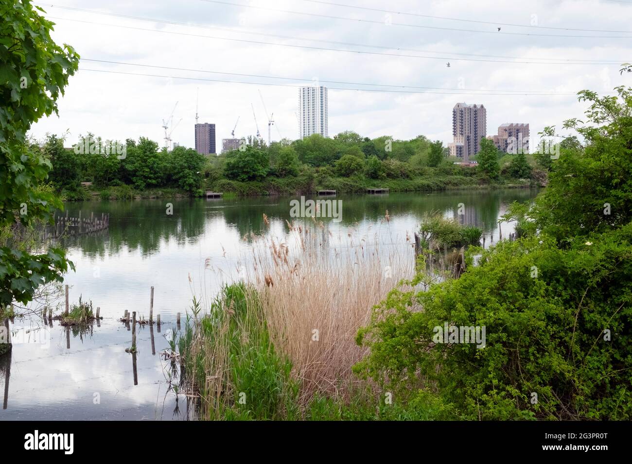 La tour de haute hauteur des blocs abritant des appartements de nouvelles maisons en bordure d'un réservoir Walthamstow Wetlands Marshes au printemps Londres N17 Angleterre KATHY DEWITT Banque D'Images