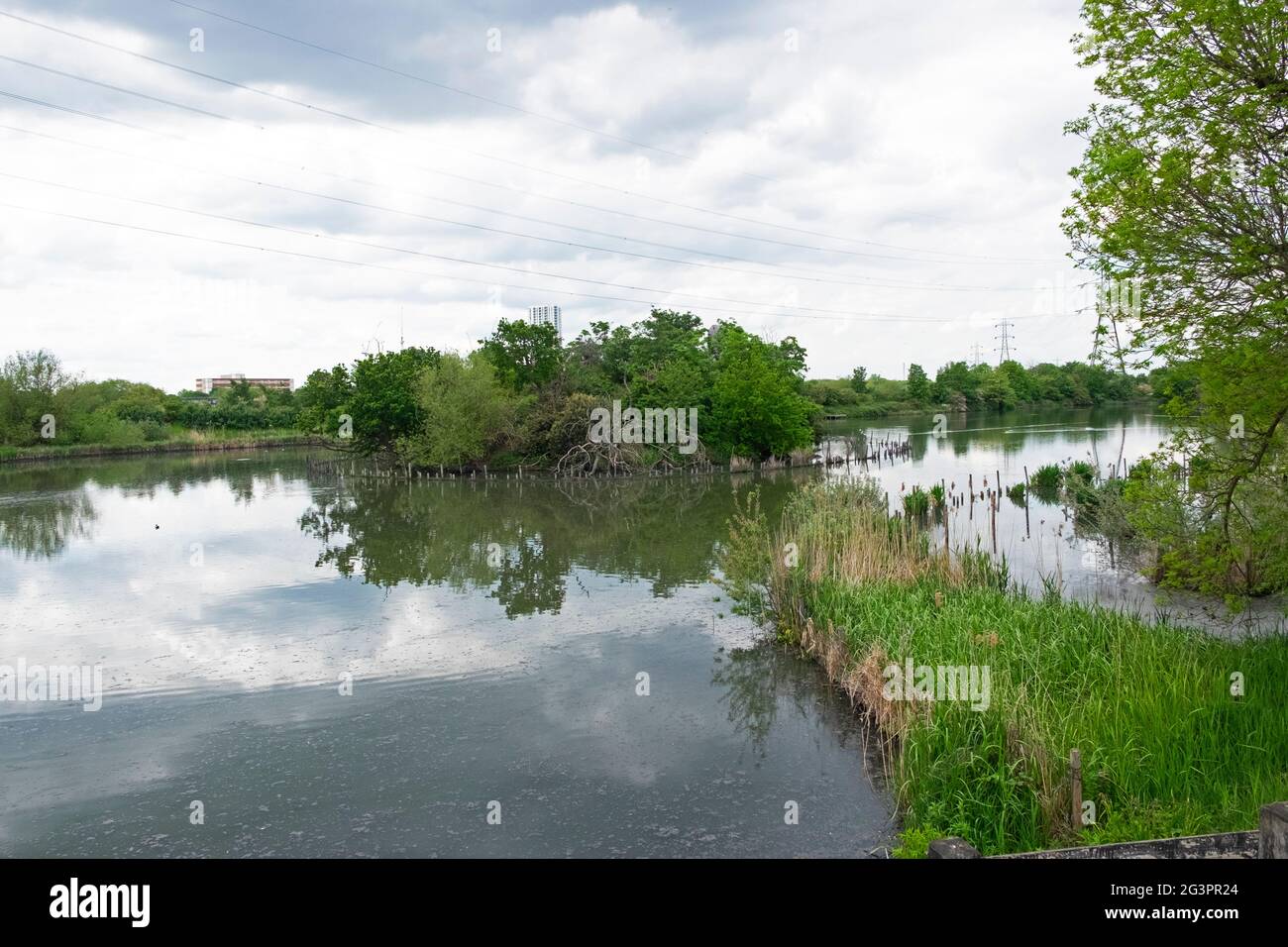 Walthamstow Wetlands Londres N17 Angleterre Royaume-Uni KATHY DEWITT Banque D'Images
