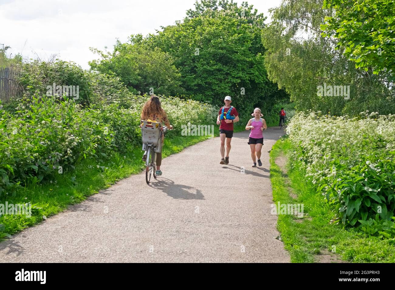 Coureurs et cycliste sur un sentier de campagne dans la réserve naturelle de Walthamstow Wetlands au printemps Londres N17 Angleterre KATHY DEWITT Banque D'Images