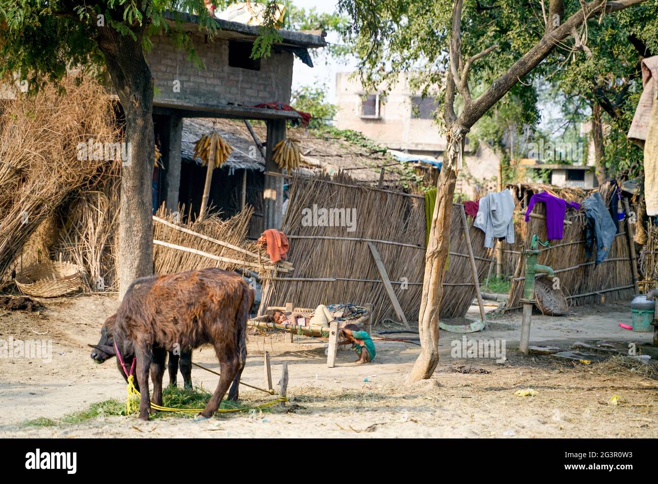 Varanasi/Inde-09.11.2018: La vie dans un petit village pauvre Banque D'Images