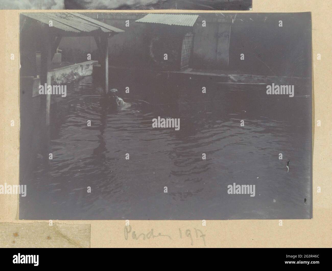 Personne dans la piscine dans les Antilles néerlandaises avec Pâques. Partie d'un album de famille avec des photos d'une famille hollandaise-indienne et d'une fabrique de sucre à PurnWorejo. Banque D'Images