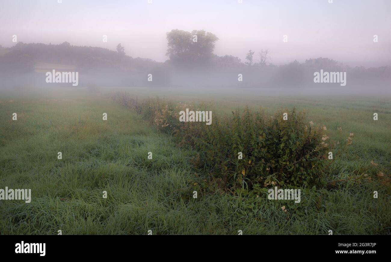 Paysage dans le brouillard Banque D'Images