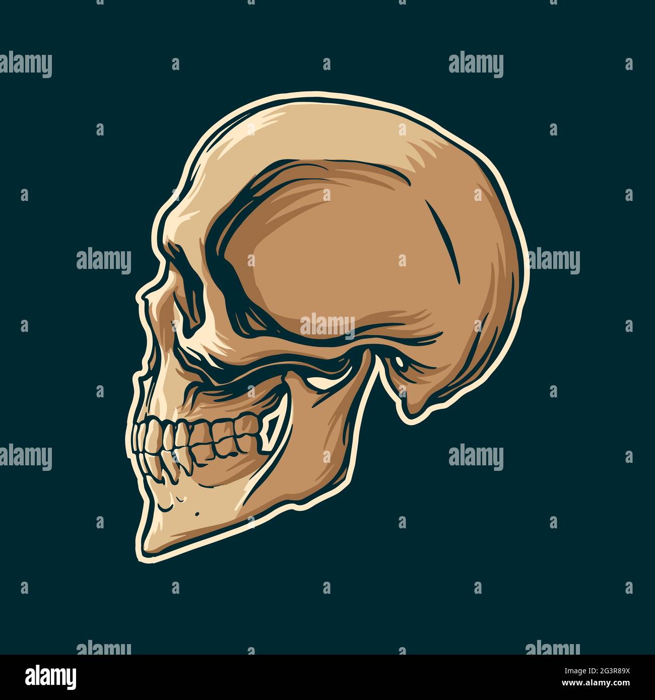 Tête de mort, vue latérale dans un style vintage. Illustration vectorielle. Illustration de Vecteur