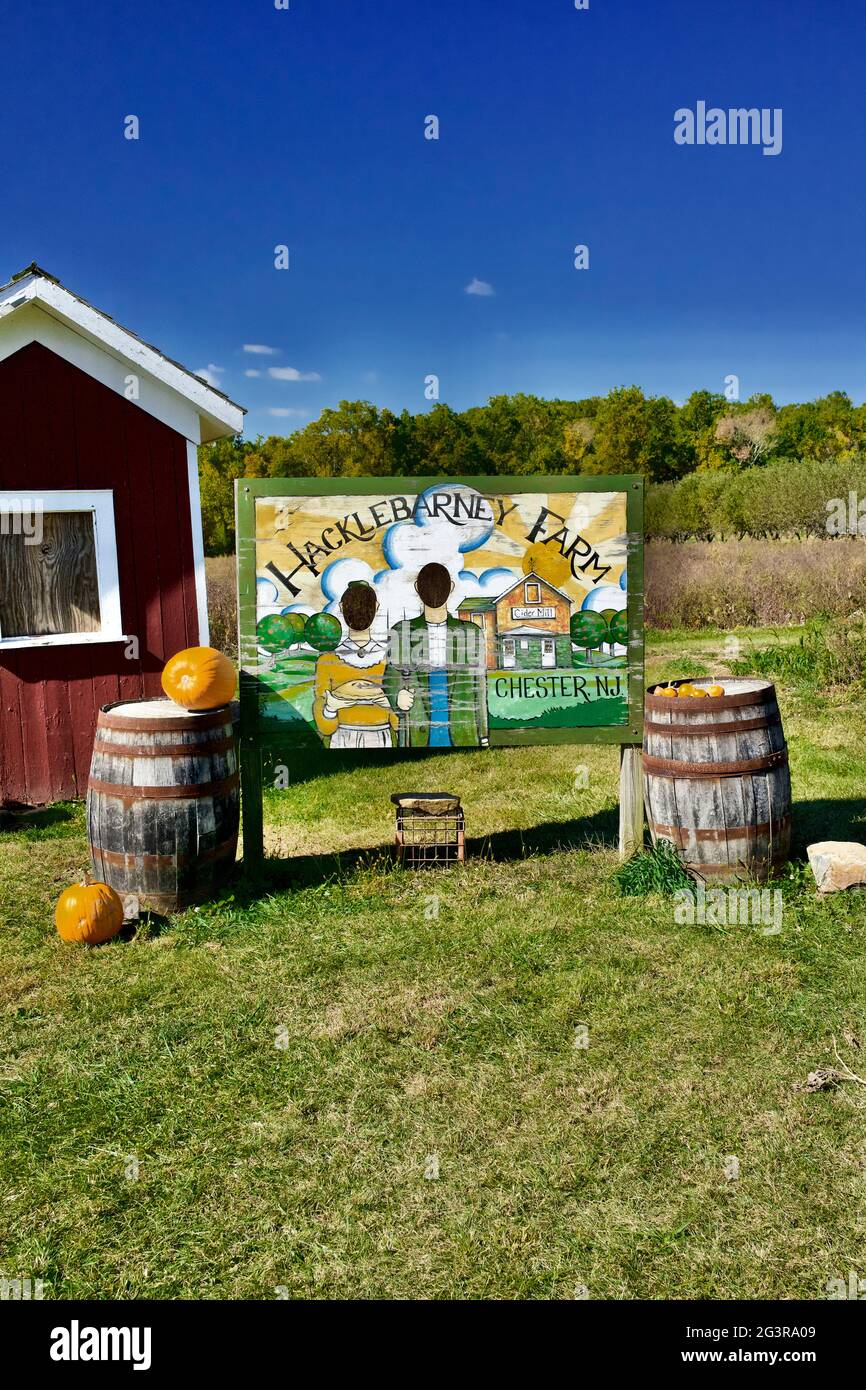 Un stand-in photo pour deux personnes pour vous faire ressembler à des fermiers gothiques américains.Hacklebarney Farm, Chester New Jersey, Etats-Unis. Ferme saisonnière Banque D'Images