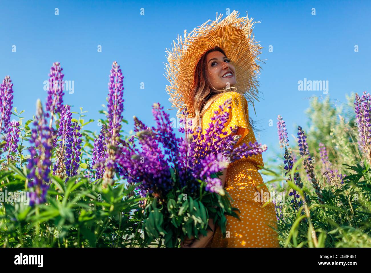 Portrait de la jeune femme tenant un bouquet de fleurs lupin pourpres marchant dans le champ d'été. Fille élégante portant un chapeau de paille portant des vêtements jaunes Banque D'Images