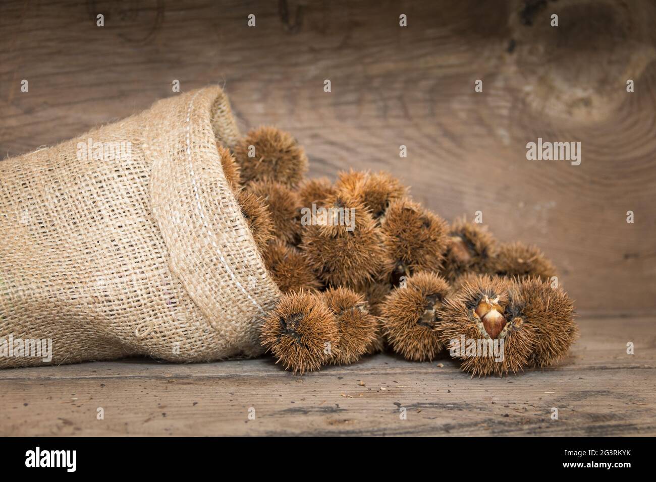 Sac de marrons Banque de photographies et d images a haute resolution Alamy