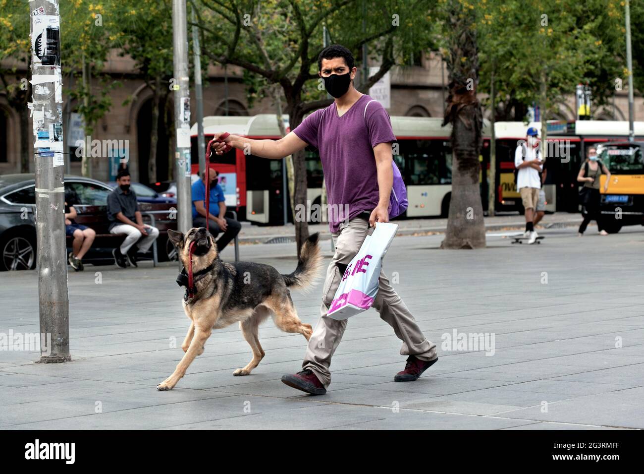 Homme marchant son chien, Barcelone, Espagne. Banque D'Images