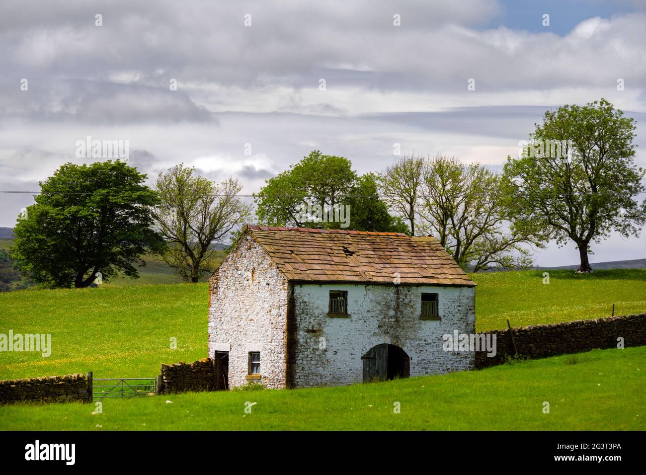 Grange traditionnelle blanchie à la chaux à Upper Teesdale, comté de Durham, en Angleterre, au printemps Banque D'Images