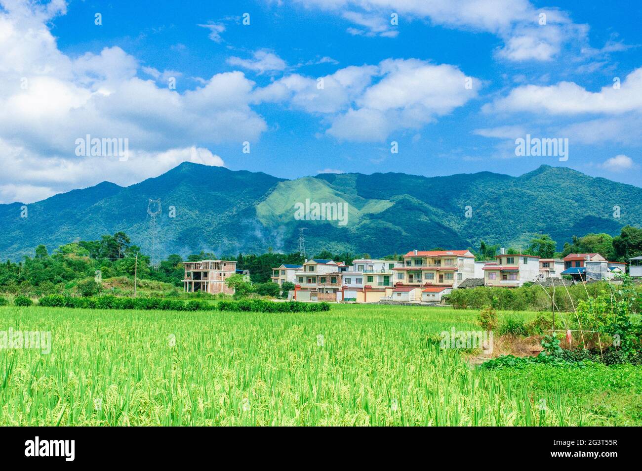 Ciel d'été à la campagne Banque de photographies et d’images à haute ...