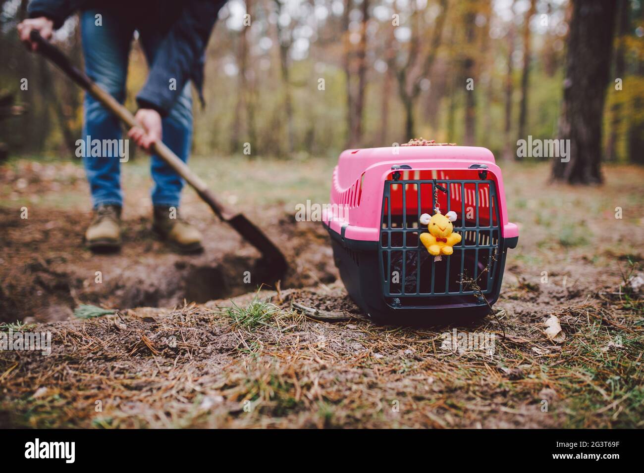 Le sujet de l'enterrement des animaux de compagnie n'est pas légal. L'homme creuse un trou avec une pelle pour enterrer un animal dans la forêt. Le propriétaire fait le GRA Banque D'Images