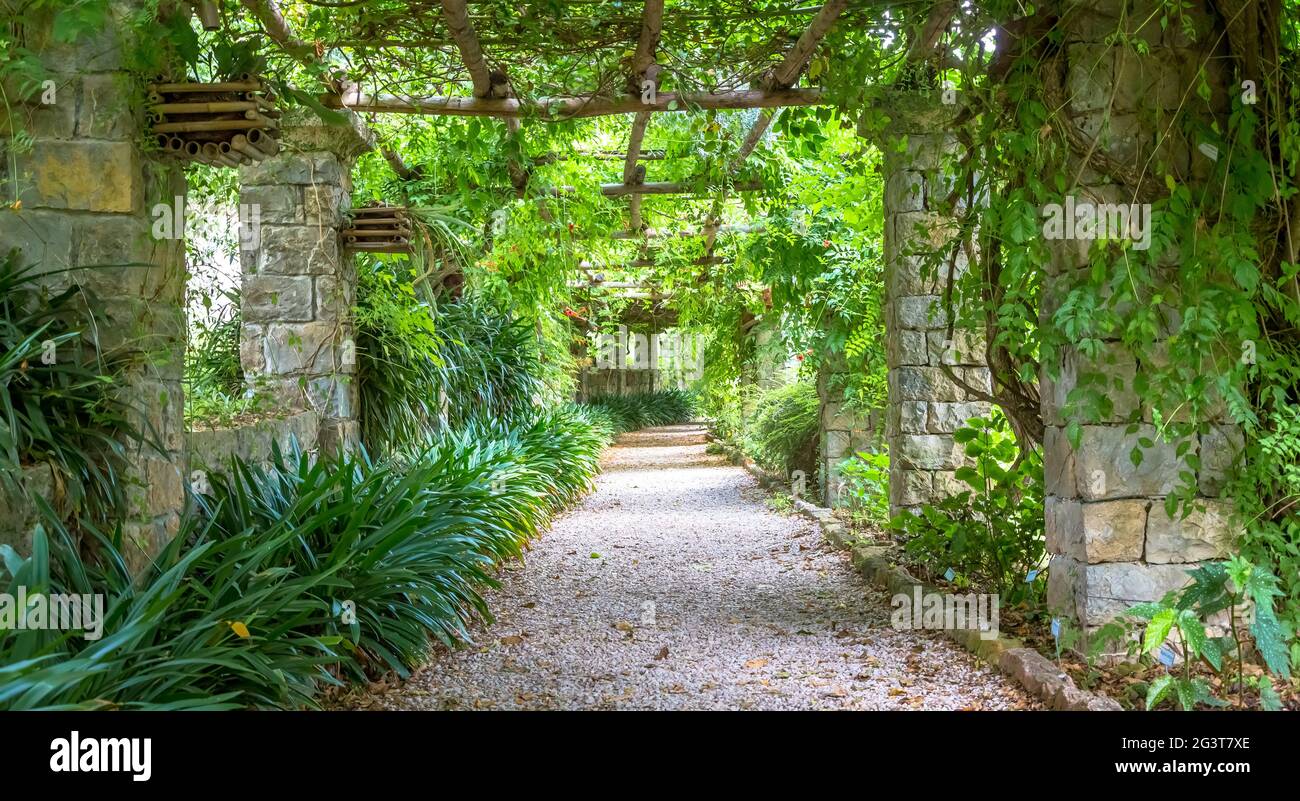 Jardin avec structure de Pergola en été. Architecture et design inspirés par la nature. Banque D'Images