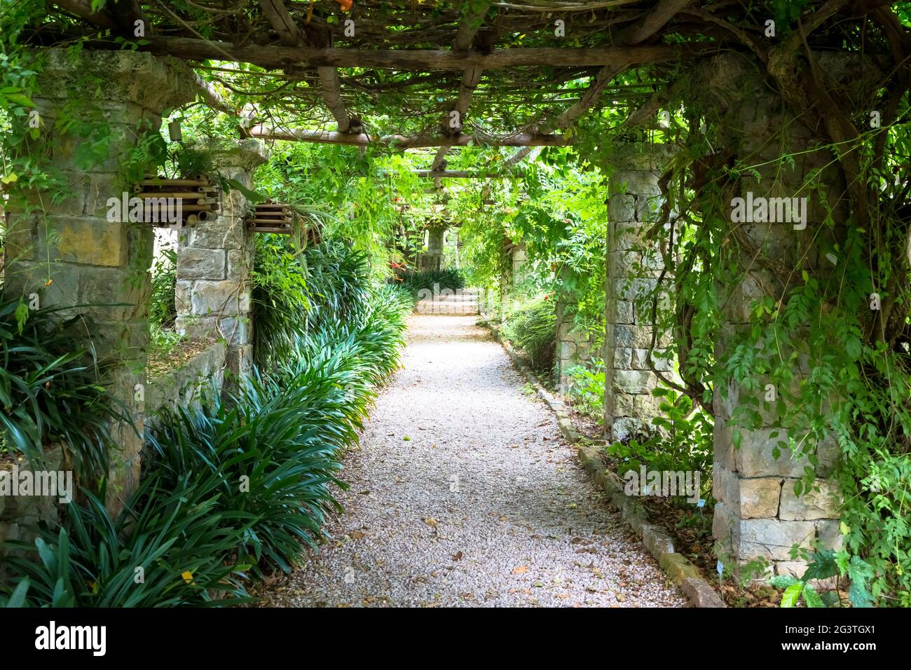 Jardin avec structure de Pergola en été. Architecture et design inspirés par la nature. Banque D'Images