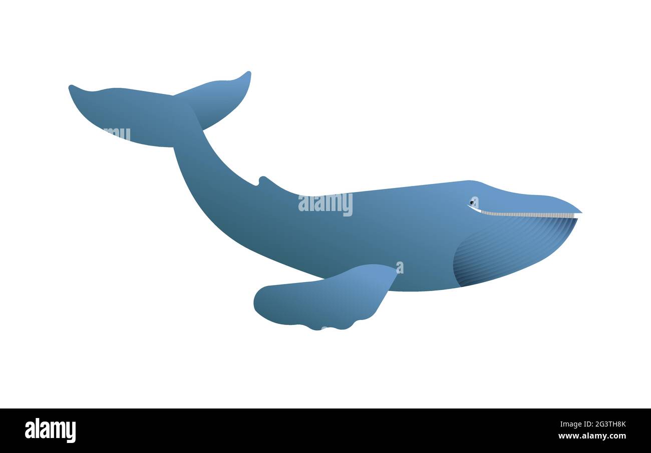 Illustration de la baleine bleue sur fond blanc isolé. Concept d'animal mammifère marin en voie de disparition. Conception pédagogique de la faune dans un dessin animé moderne Illustration de Vecteur