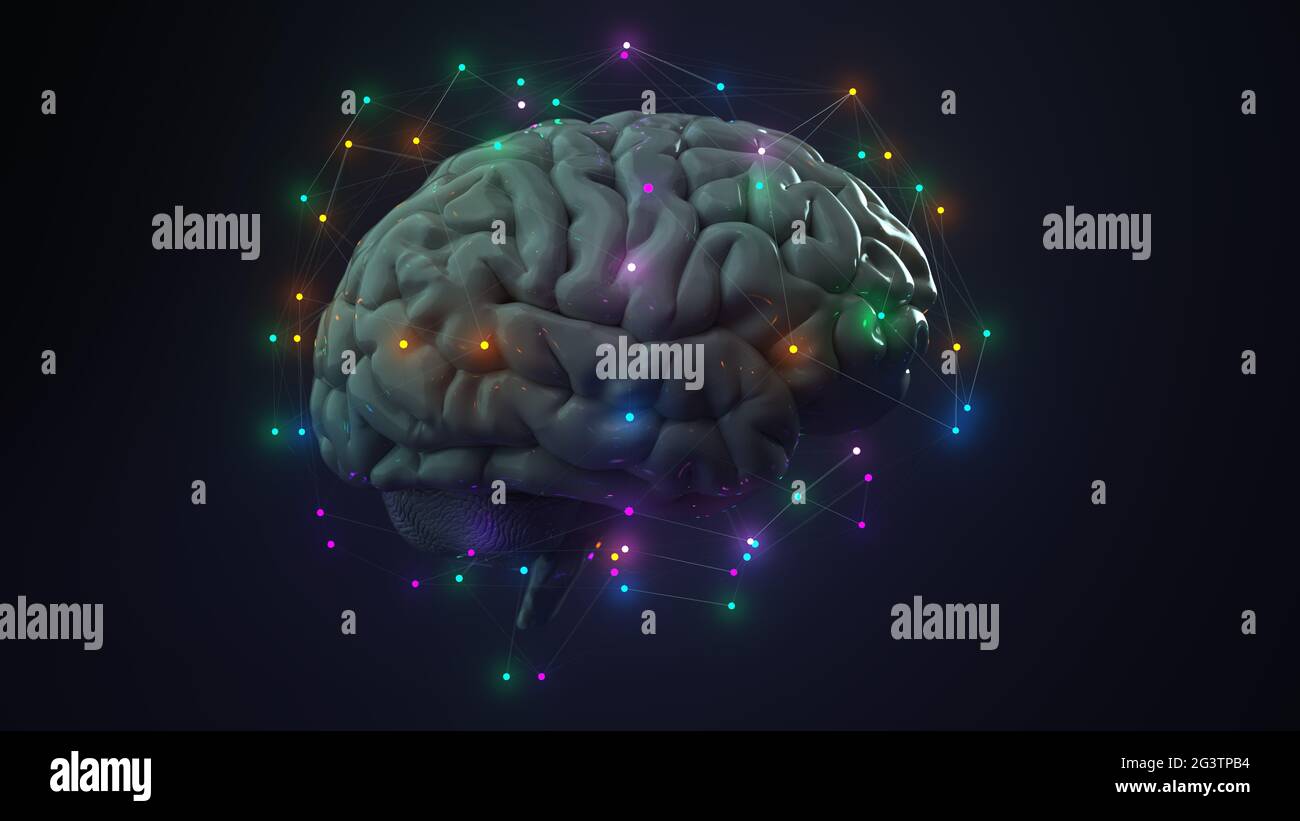 Réseau neuronal du cerveau humain Banque D'Images