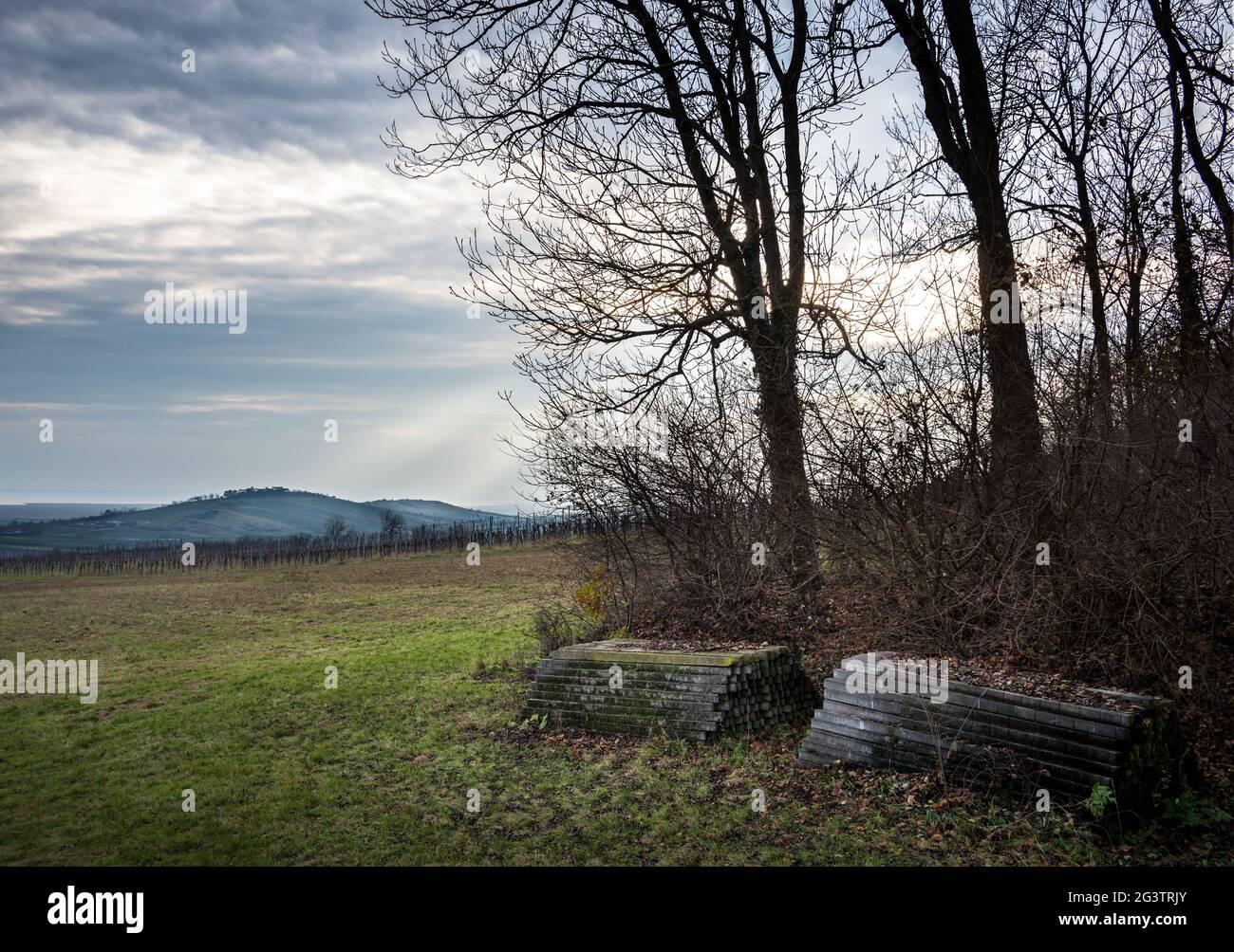 Paysage sombre avec champs agricoles près de jois Burgenland Autriche Banque D'Images