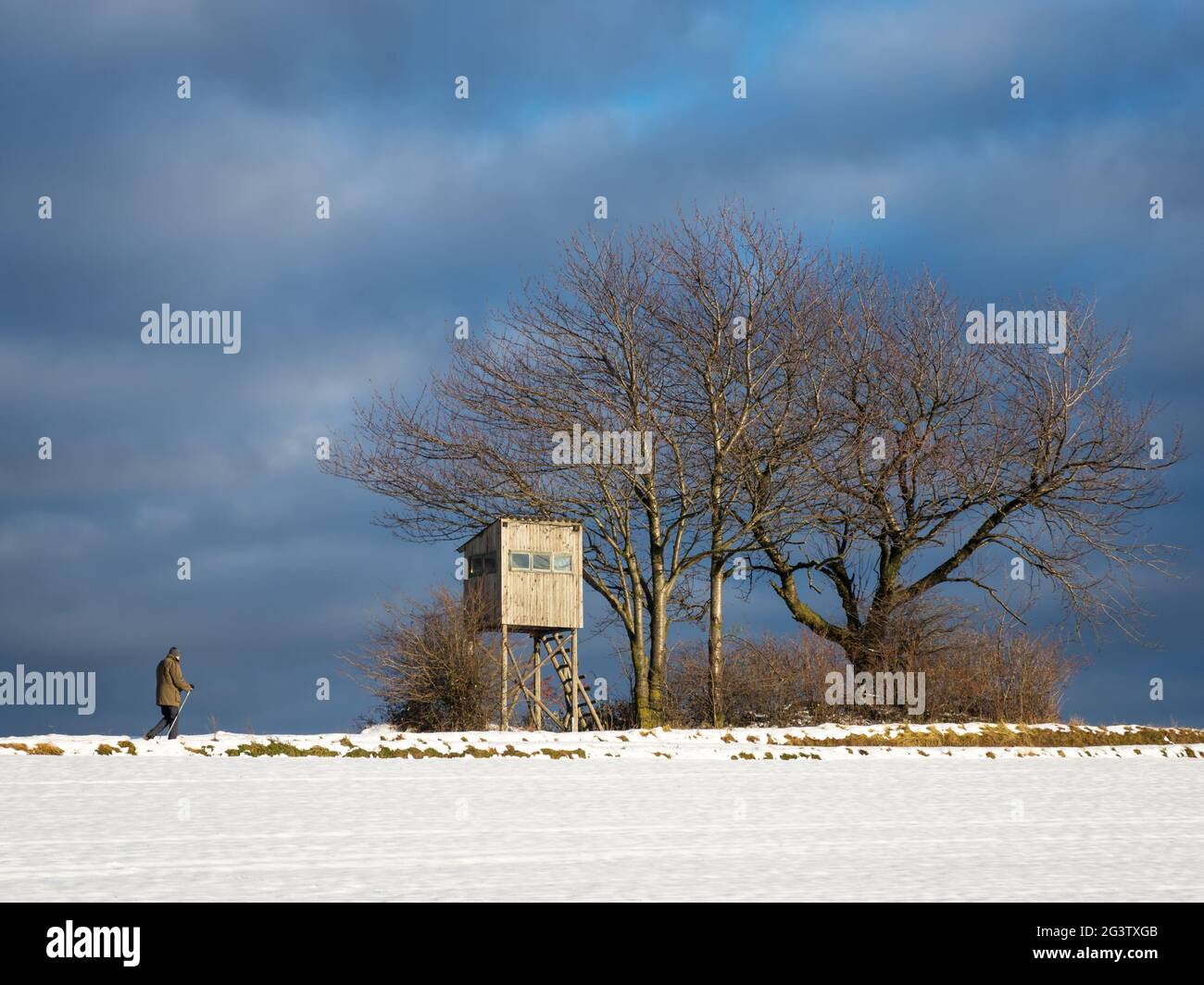 Les hommes plus âgés marche nordique dans le paysage d'hiver Banque D'Images