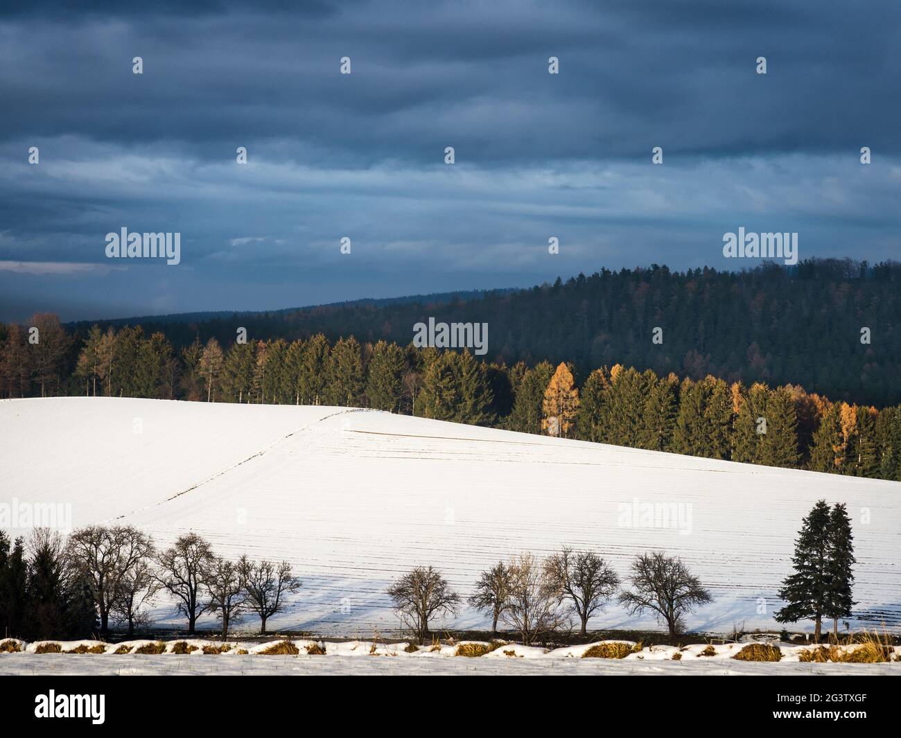 Paysage d'hiver dans les collines de la basse-autriche Banque D'Images