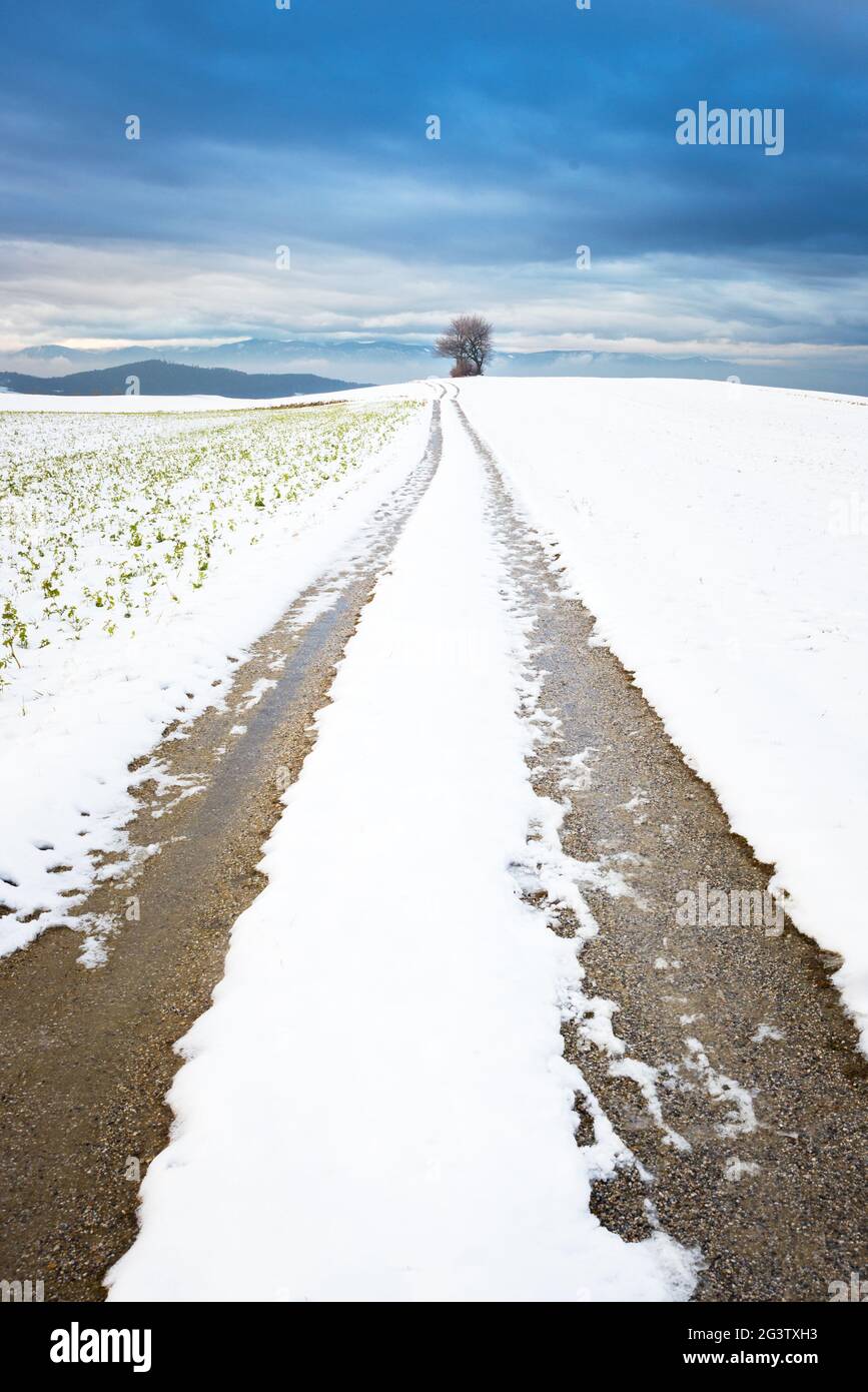 Paysage d'hiver à Hochwolkersdorf Bucklige Welt Basse-Autriche Banque D'Images
