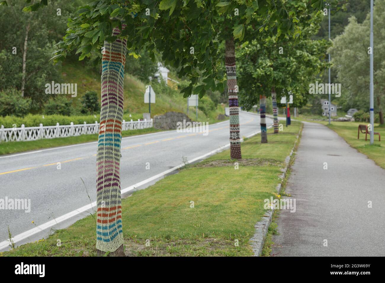 La route principale en ville est bordée d'arbres en tricot/crochet. Le concept de tricot a un large symbolique Banque D'Images